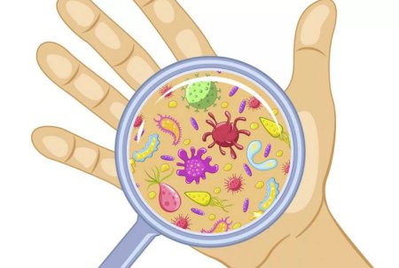 Микробы на руках для детей