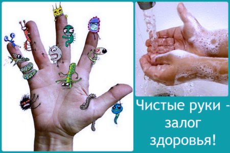 Микробы под увеличительным стеклом