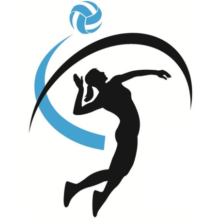 Волейбол женский клипарт (45 фото)