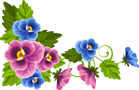 Анютины глазки цветы вектор