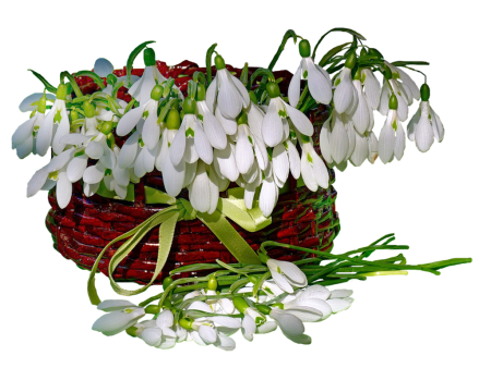 Рамка подснежники