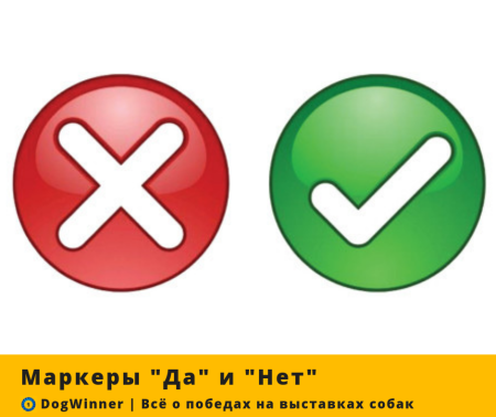 Галочка и крестик