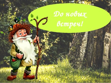 Боровик Лесовик сказочный персонаж