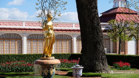 Петергоф в Санкт-Петербурге
