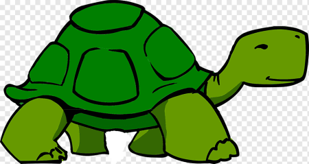 Tortoise для детей