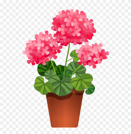 Цветы в горшках