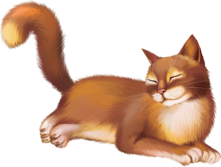 Кошка для детей
