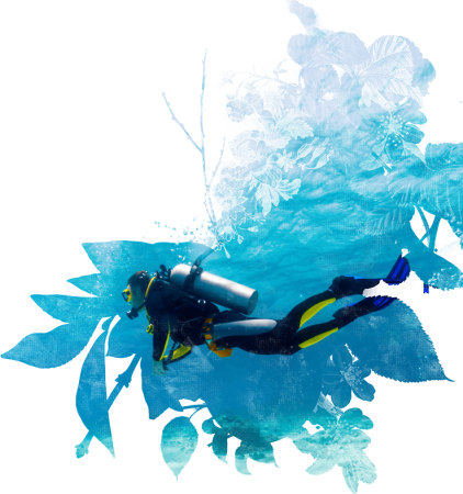 Аквалангист на белом фоне