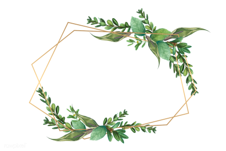 Рамка из зелени