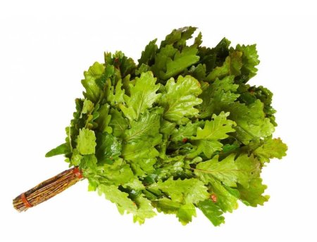 Банный веник дубовый вектор