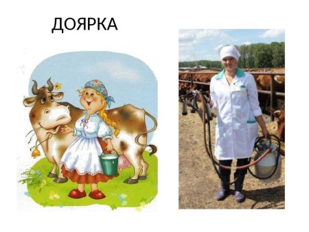 Профессия доярка для дошкольников
