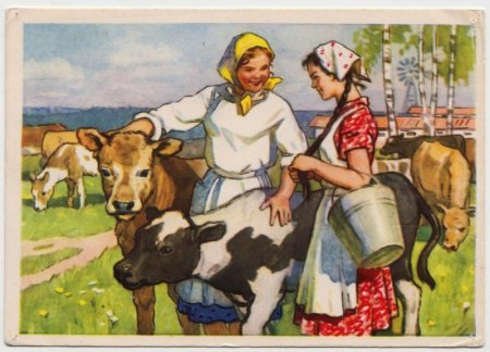 Телятница профессия