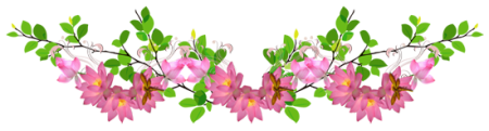 Линия из весенних цветов