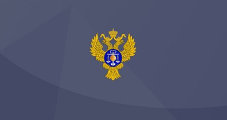 Федерального казначейства флаг России