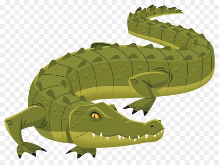 Крокодил рисунок