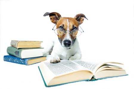 Животное с книжкой