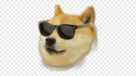 Сиба-ину Dogecoin