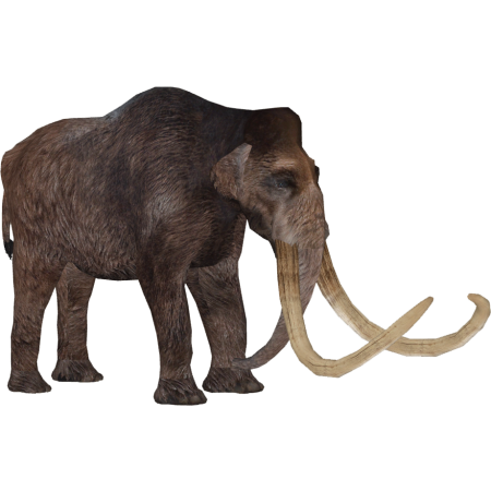 Африканский мамонт (Mammuthus subplanifrons Osborn, 1928)