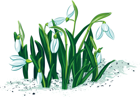 Подснежники мультяшные