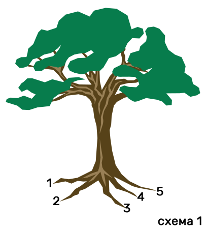 Корни дерева