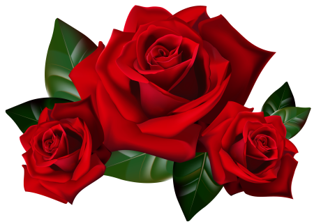 Букет красных роз клипарт (38 фото)