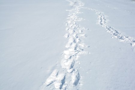 Следы волочения в снегу