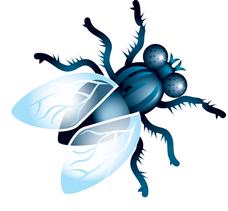 Муха на белом фоне