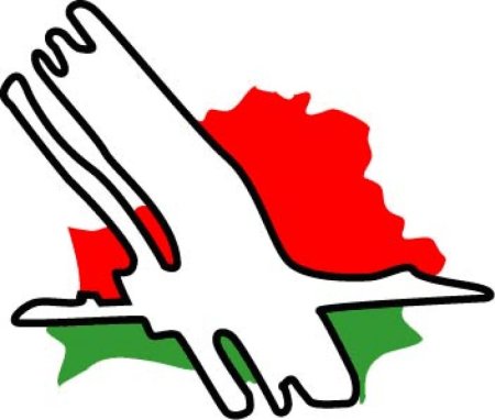 Belarus флаг