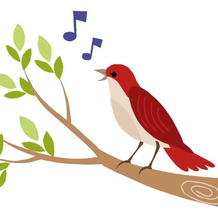 Птицы поют для детей