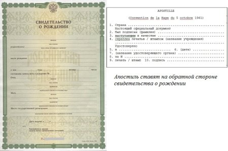 Образец свидетельства о рождении ребенка РФ
