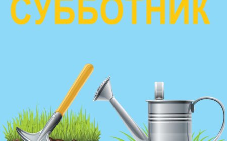 Субботник фон