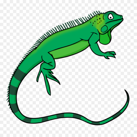 Iguana cartoon