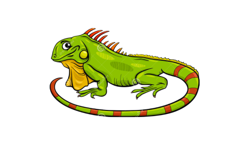 Iguana рисунок