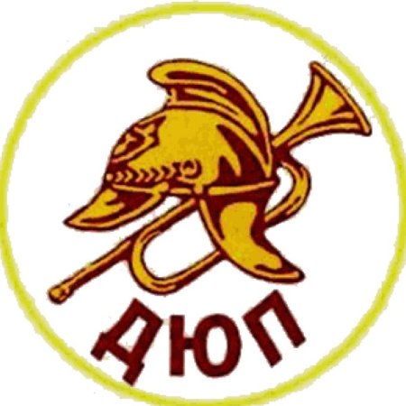 Дружина юных пожарных в школе эмблема
