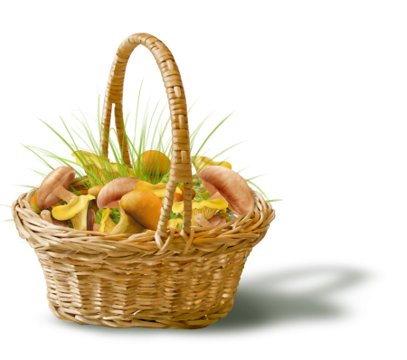 Корзина с грибами