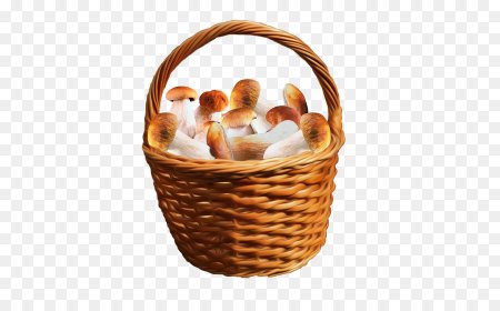 Корзинка с грибами на прозрачном фоне