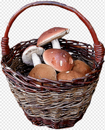 Корзина с грибами вектор