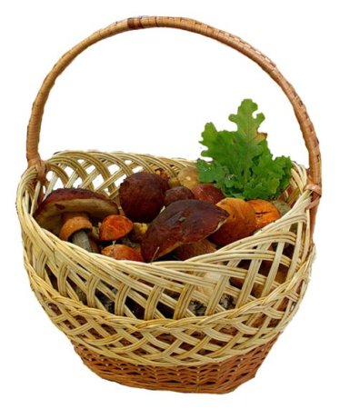 Корзинка с грибами на белом фоне