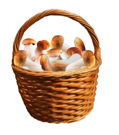 Корзина с грибами на белом фоне