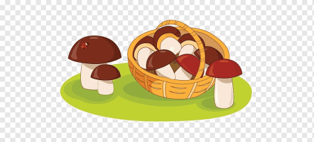 Лукошко с грибами