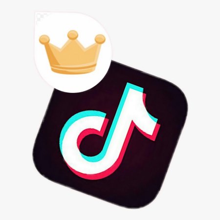 Тик ток логотип