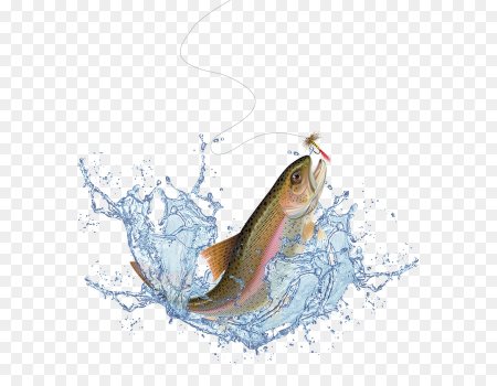 Форель выпрыгивает из воды