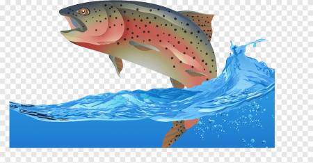 Лосось выпрыгивает из воды