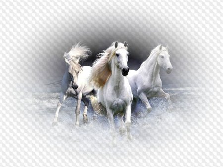 Тройка лошадей