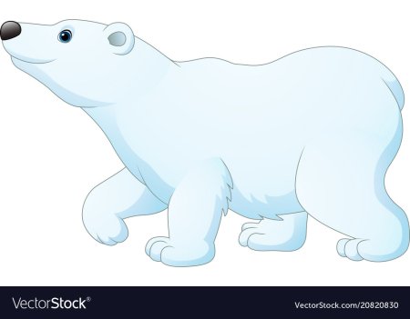 Полярный медведь вектор сбоку голова