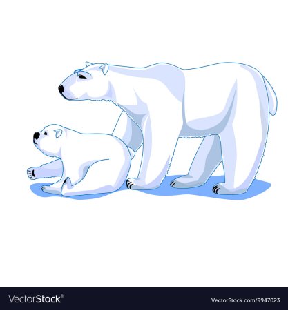 Полярный медведь вектор