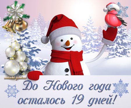 До нового года осталось 19