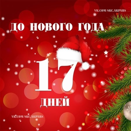 До нового года осталось 17 дней