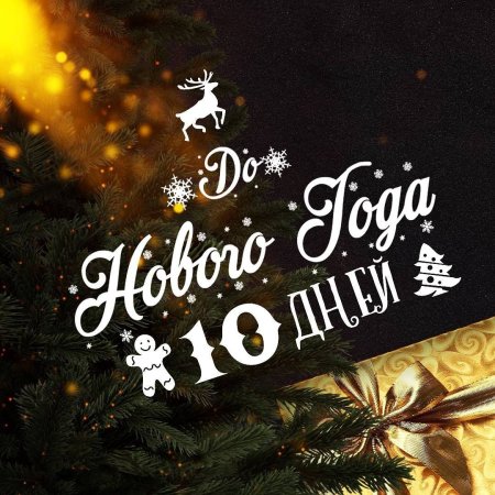 До нового года осталосьэ