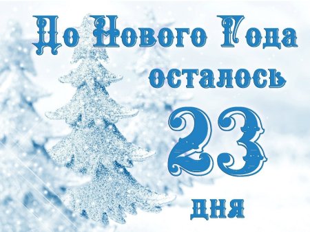До нового годаосталось23дне